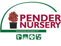 Pender Nursery